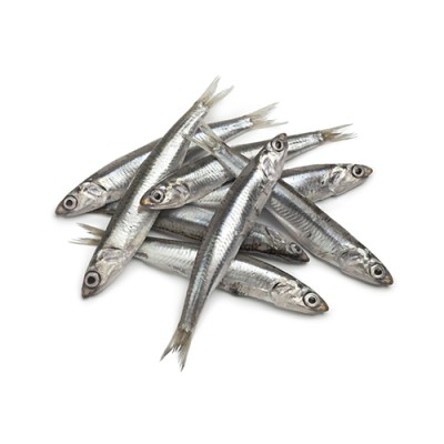 Boquerón del Meditarráneo Envase de 1 Kg