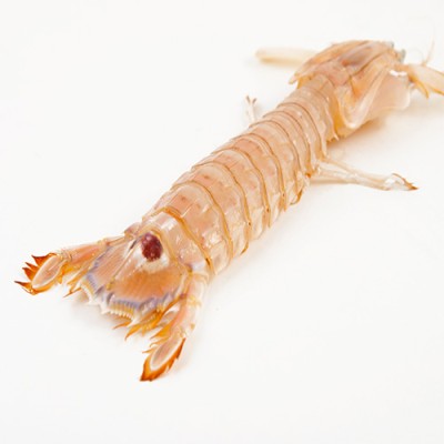 Galeras del Mediterráneo Bandeja De 400 gr