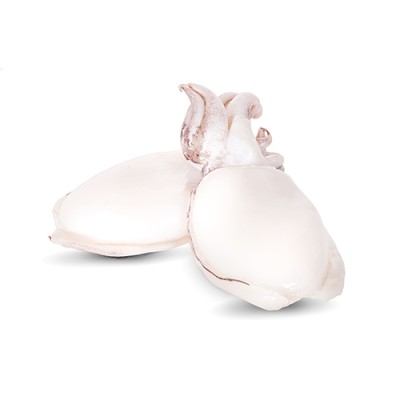 Sepia Limpia Marroc M Extra Envase de 1 Kg