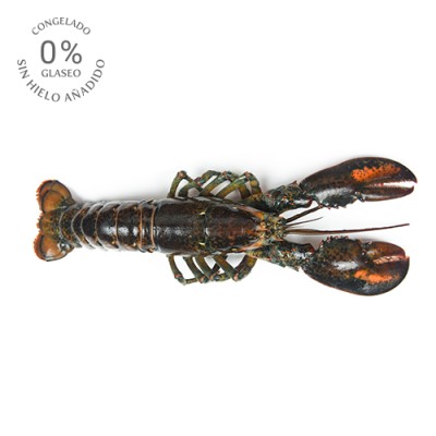 Bogavante 0% Glaseo Estuche de 1 ud