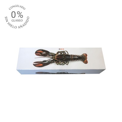 Bogavante 0% Glaseo Estuche de 1 ud