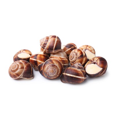 Caracol Hervido Bandeja de 300 gr