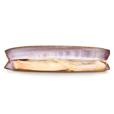 Navajas Salvora 5_7 Premium Lata RR 125