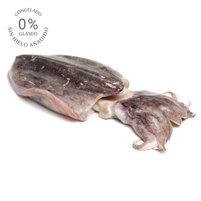 Sepia Sucia Mongo Grande 0% Glaseo Envase de 1 Kg