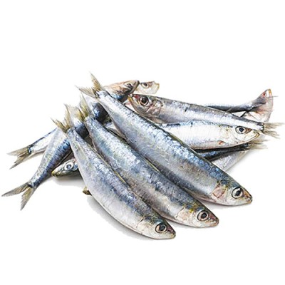 Sardina Entera Envase de 1 Kg