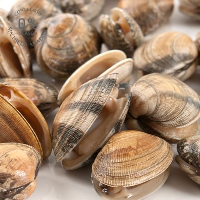 Almeja Fina Japónica 0% Glaseo Envase De 500 gr