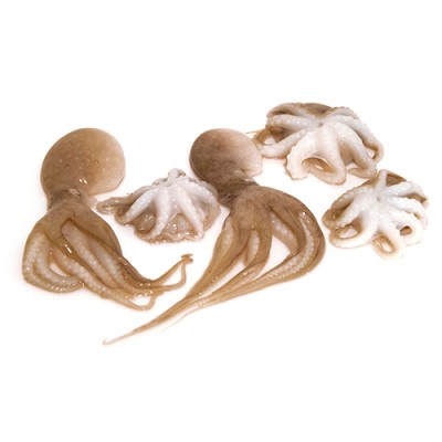 Pulpito 40-60 Envase de 340 gr