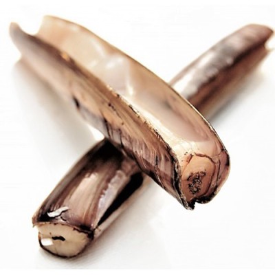 Navajas Bandeja de 400 gr