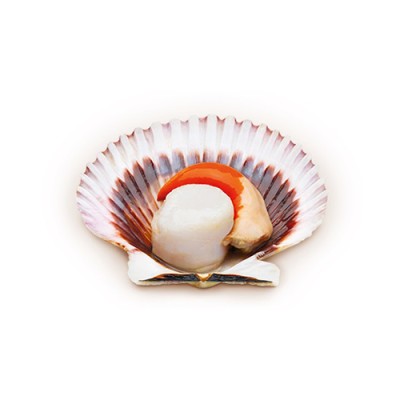 Zamburiña Natural Bandeja de 8 ud