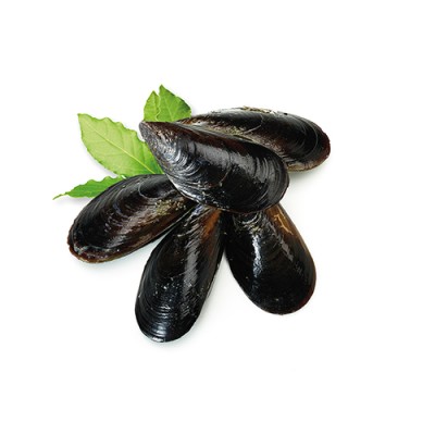 Mejillón Jugosón al Vapor Envase de 500 gr