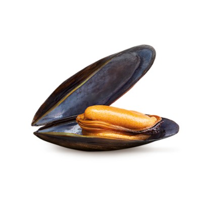 Mejillones en Escabeche 10_12 Lata OL 120