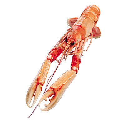 Cigala Grande de Escocia Bandeja de 450 gr