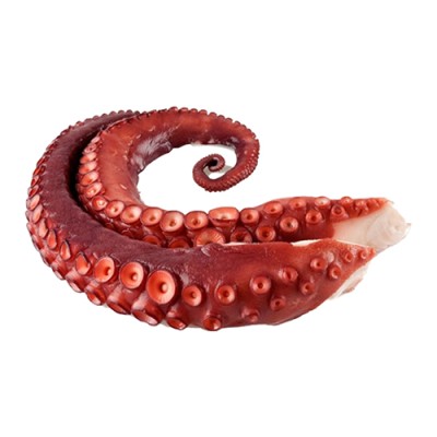 Pulpo Cocido en su Jugo Envase de 2 Patas (300 gr)
